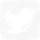 twitter_icon